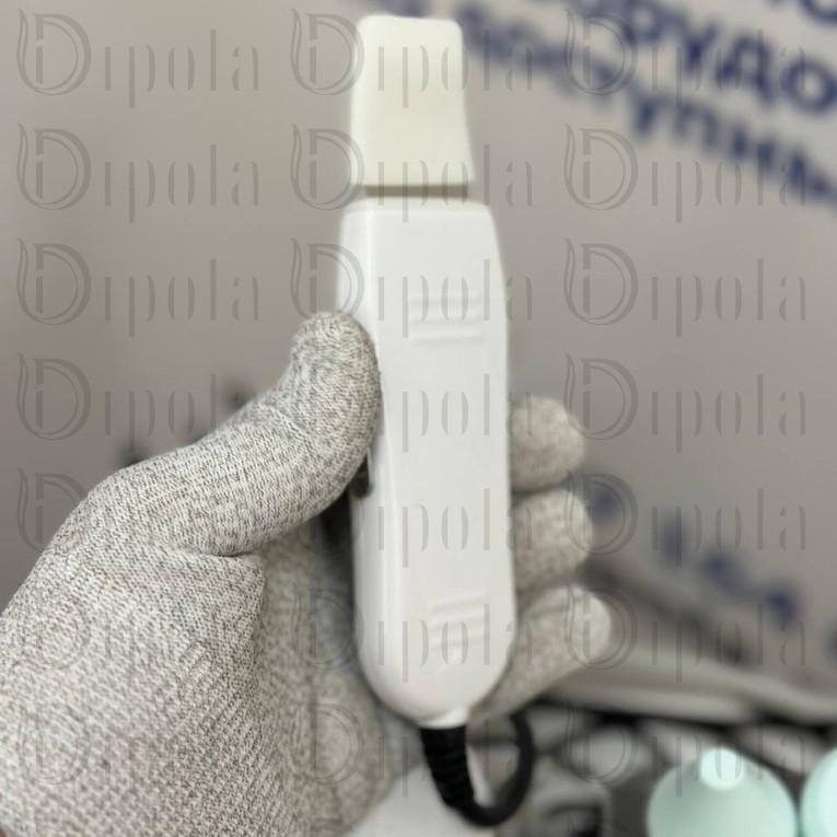 photo_2025-08-26_16-11-29