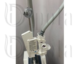 photo_2025-08-12_09-30-41